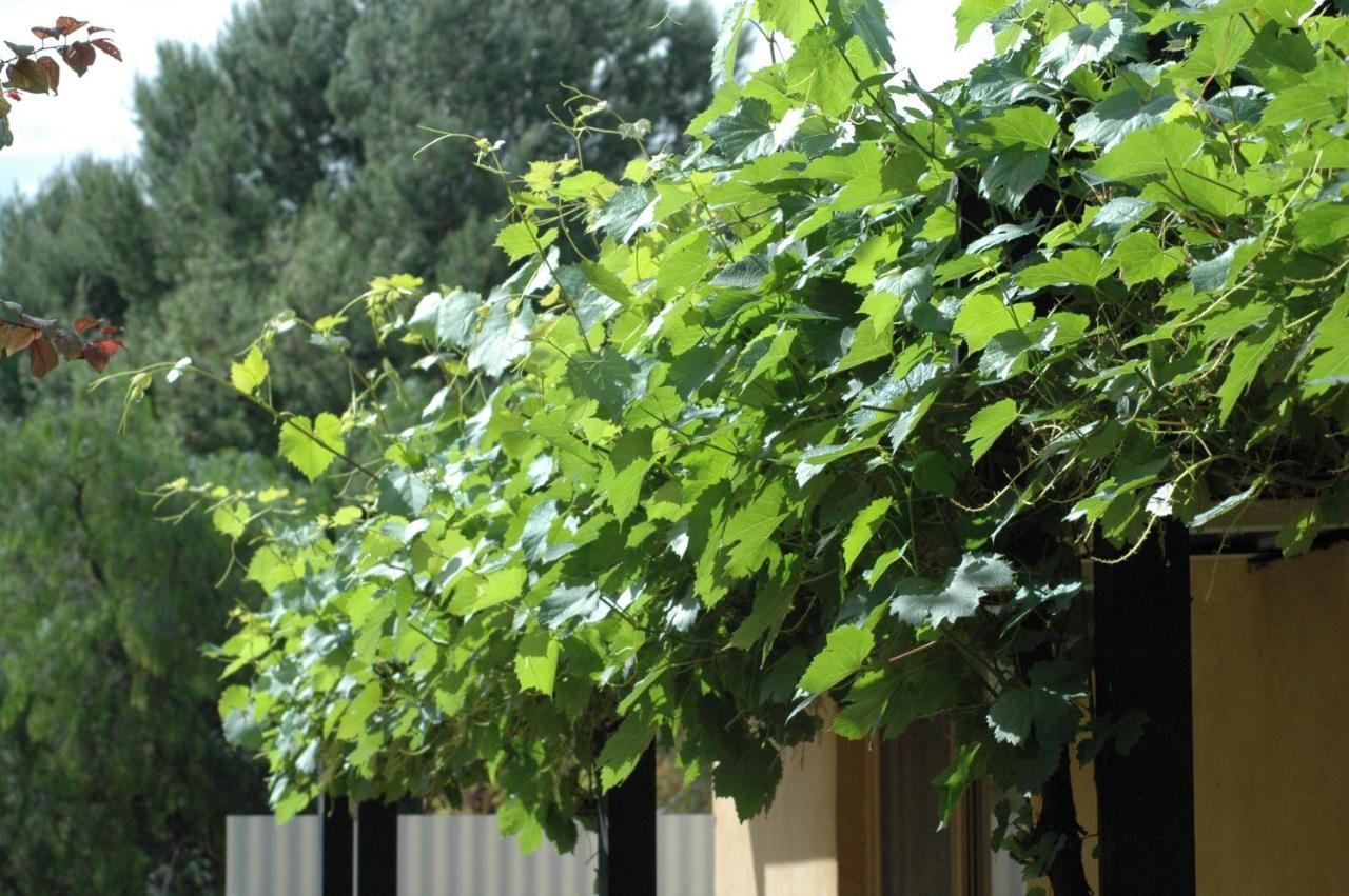 Burra Motor Inn Dış mekan fotoğraf